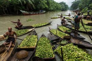 Overnight Barishal Tour from Dhaka – Floating Market, Village Life & River Cruise