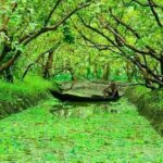 3 Days 2 Nights – Dhaka City & Barishal River Life Experience Tour