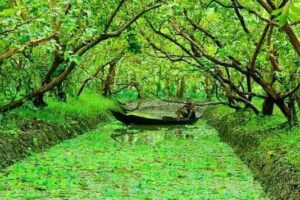 3 Days 2 Nights – Dhaka City & Barishal River Life Experience Tour