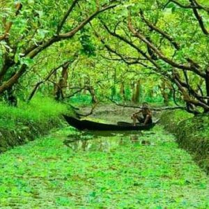 3 Days 2 Nights – Dhaka City & Barishal River Life Experience Tour