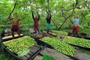 An Unforgettable Overnight Barishal Tour from Dhaka: Floating Markets, Village Life, and River Adventures