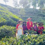 2 Days 1 Night Private Sreemangal Tour by Reserved AC Vehicle from Dhaka