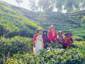 2 Days 1 Night Private Sreemangal Tour by Reserved AC Vehicle from Dhaka